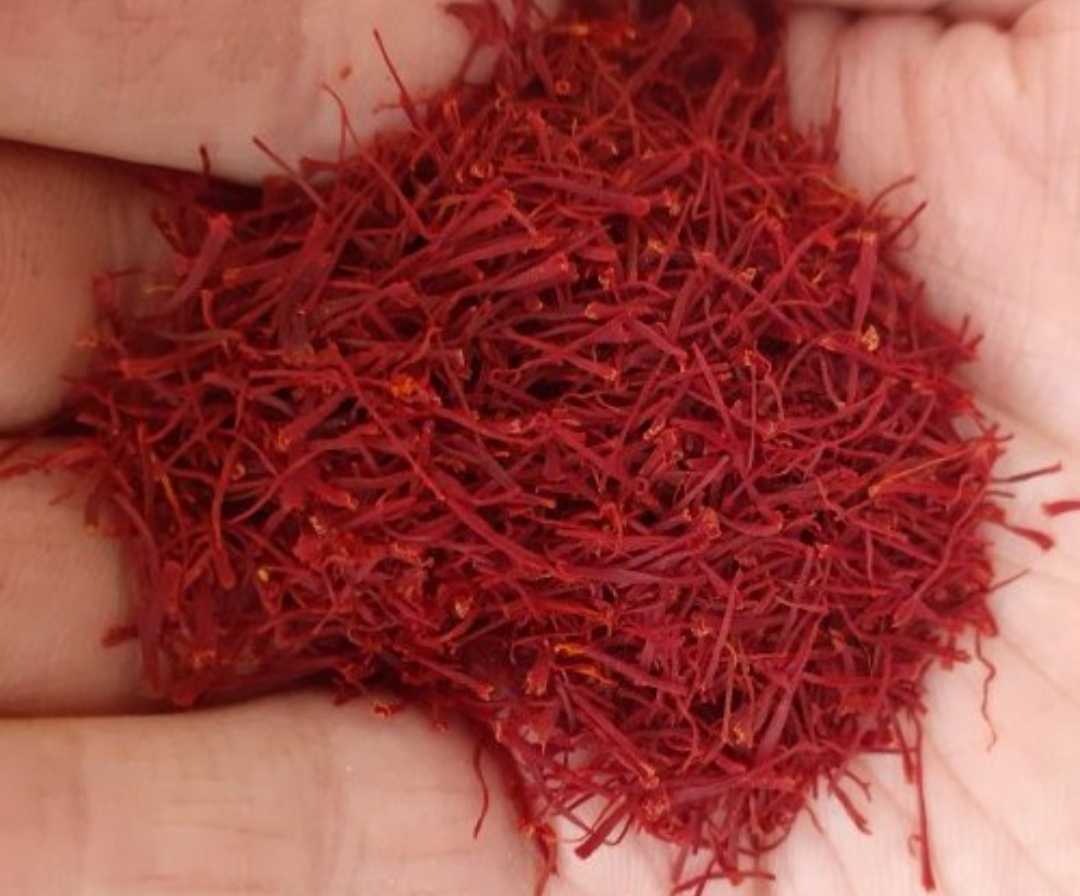 زعفران رضایی 