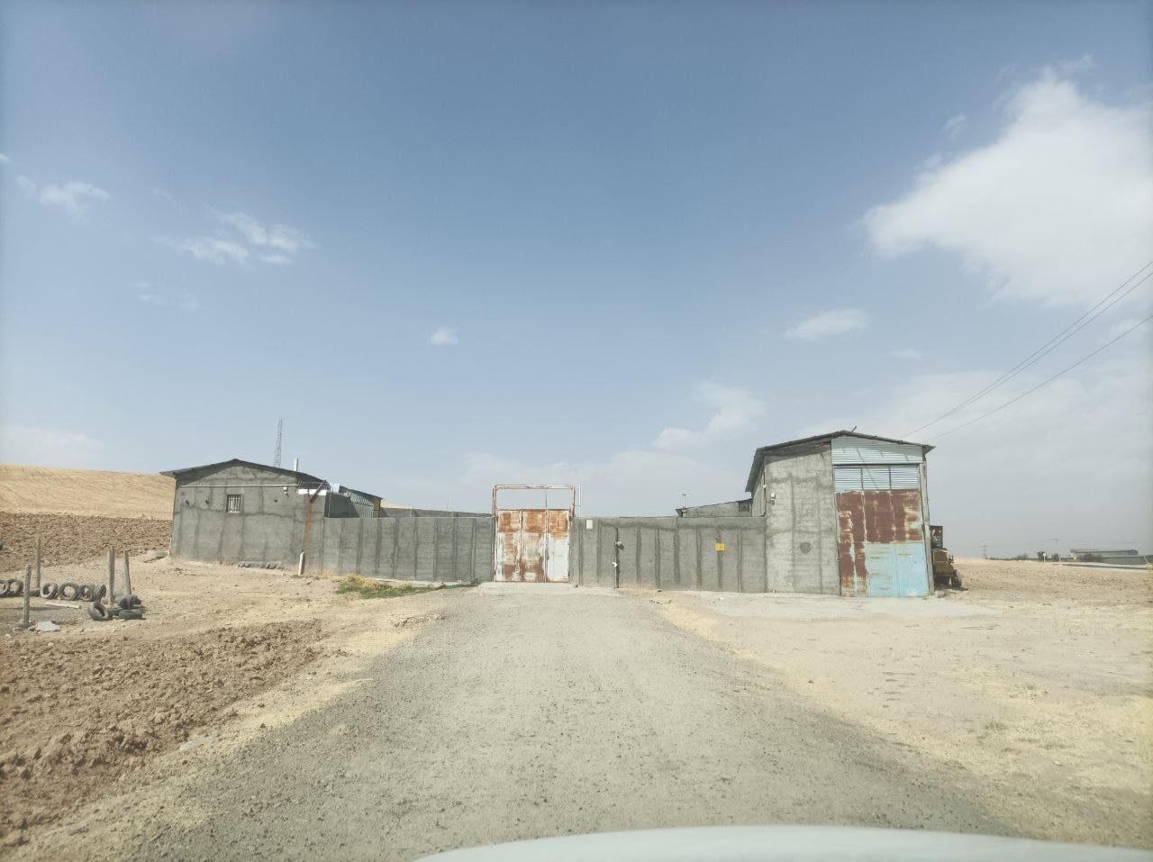 دامداری گوسفندی مرینوس