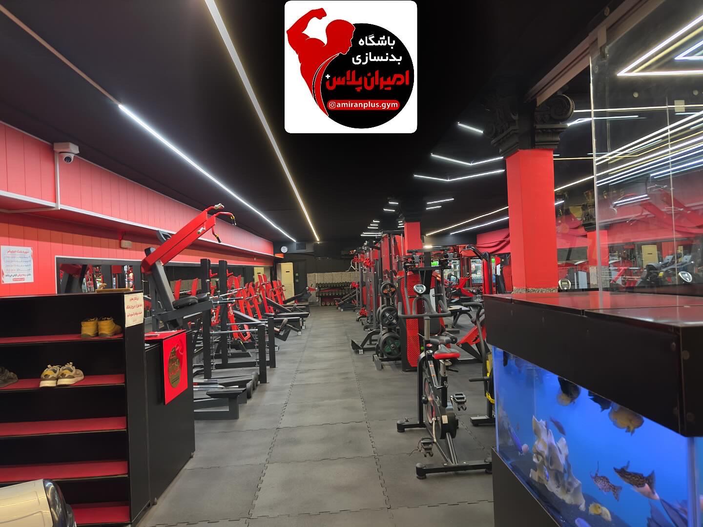 باشگاه آرکو 💪🏋️‍♀️🔥